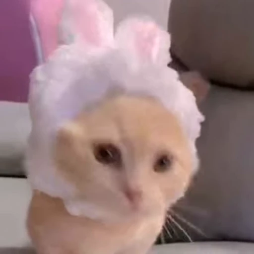 😻 Стикер «Gangsta Cats» для Telegram