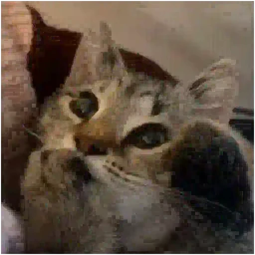 🥲 Стикер «Gangsta Cats» для Telegram