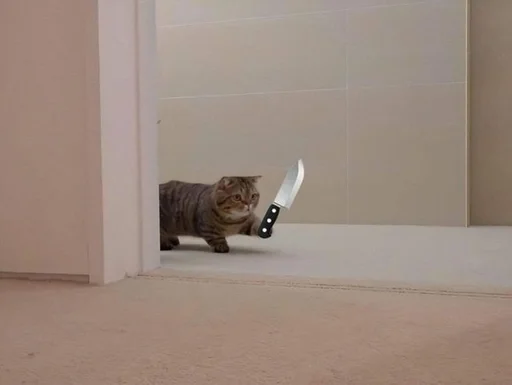 🔪 Стикер «Catto» для Telegram