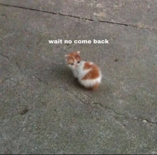 🥺 Стикер «Catto» для Telegram