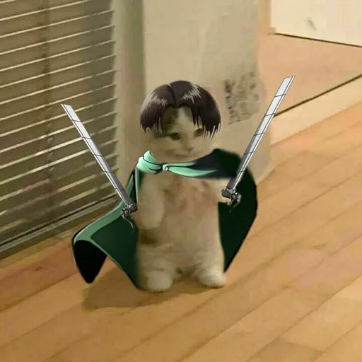 ⚔ Стикер «Catto» для Telegram