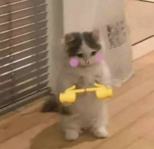 👉 Стикер «Catto» для Telegram