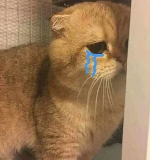 😿 Стикер «Catto» для Telegram