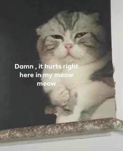 😔 Стикер «Catto» для Telegram