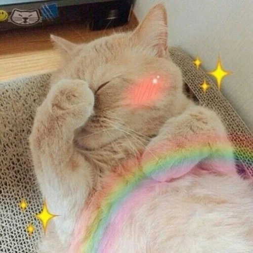 🙈 Стикер «Catto» для Telegram