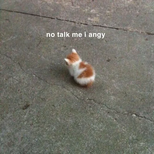 😒 Стикер «Catto» для Telegram