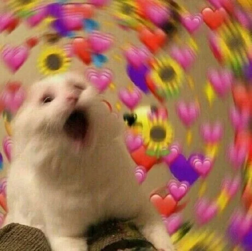 💓 Стикер «Catto» для Telegram