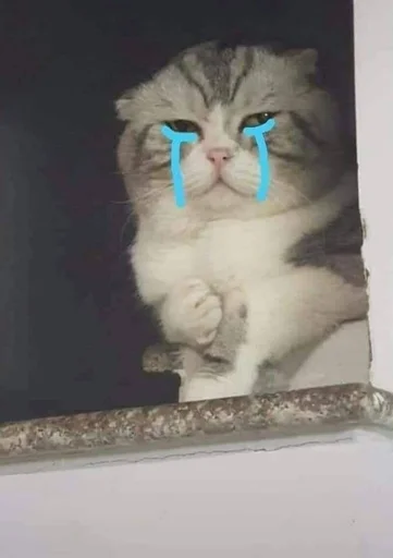 😭 Стикер «Catto» для Telegram
