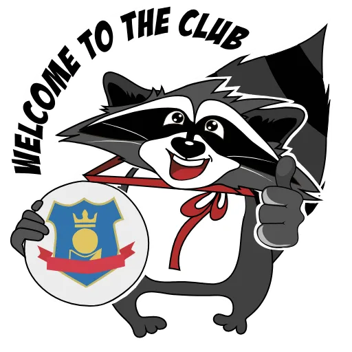 🤝 Стикер «Юридически чистый енот» для Telegram