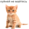 🐱 Эмодзи «garbage» для Telegram