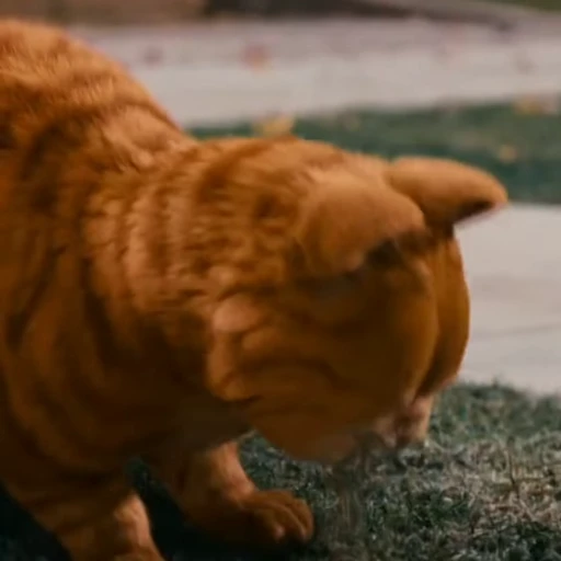 😳 Стикер «Garfield» для Telegram