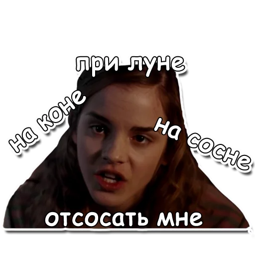 🐴 Стикер «Гарри Повар» для Telegram