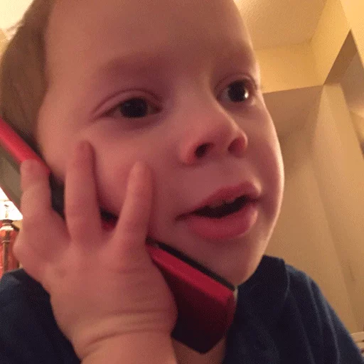 📞 Стикер «gavinreacts» для Telegram