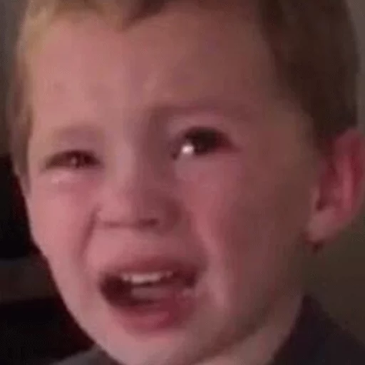 😥 Стикер «gavinreacts» для Telegram