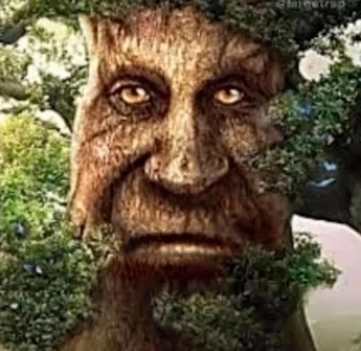 😒 Стикер «Mytstical Tree» для Telegram