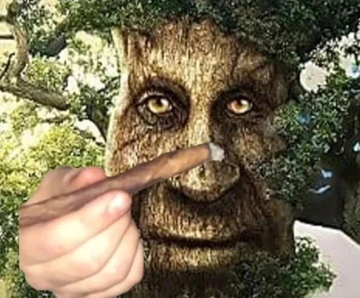 🚬 Стикер «Mytstical Tree» для Telegram