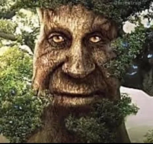 Стикерпак Mytstical Tree для Telegram — скачать