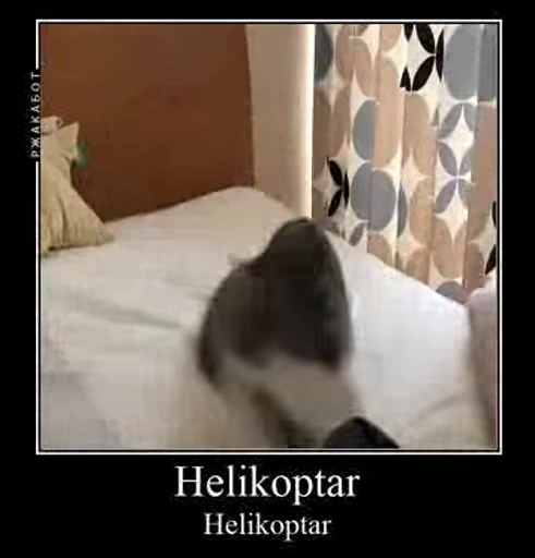 🚁 Стикер «gboard&;s cats (mostly)» для Telegram