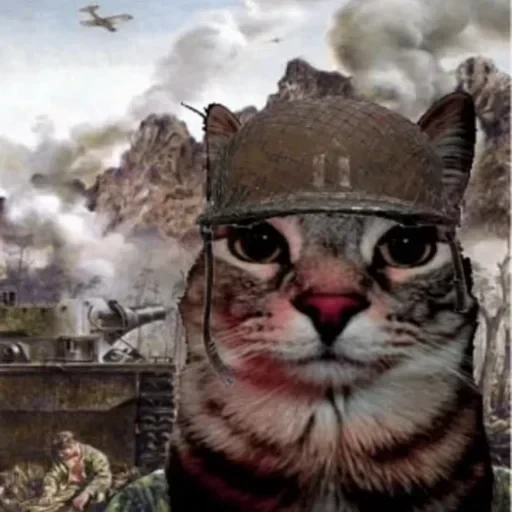 💂‍♀ Стикер «gboard&;s cats (mostly)» для Telegram