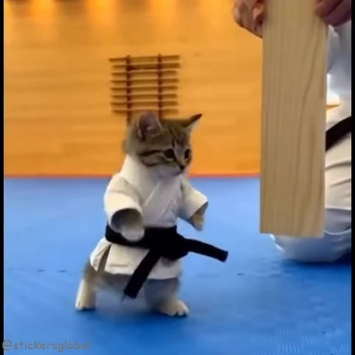 👊 Стикер «Kanji Cats» для Telegram