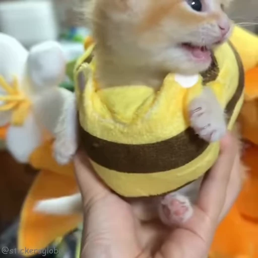 😋 Стикер «Kanji Cats» для Telegram