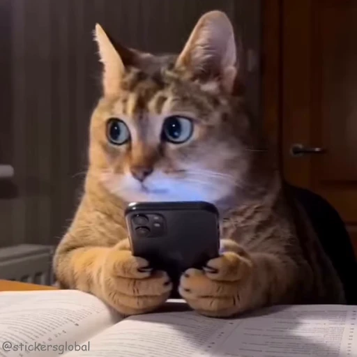 😳 Стикер «Kanji Cats» для Telegram