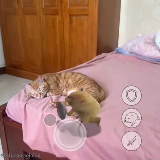 🤣 Стикер «Kanji Cats» для Telegram