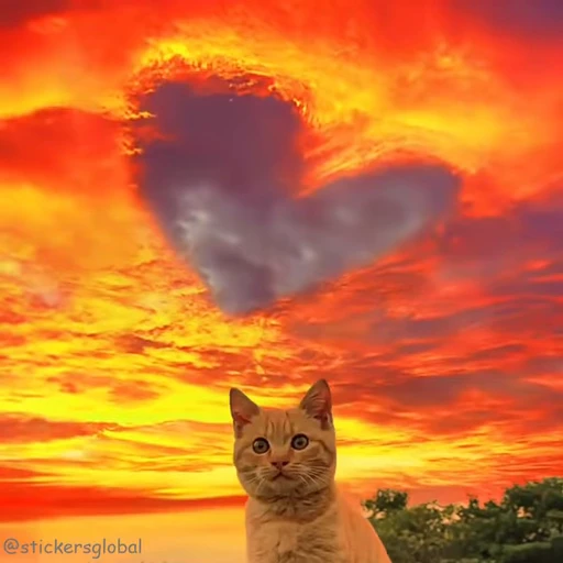 ❤ Стикер «Kanji Cats» для Telegram