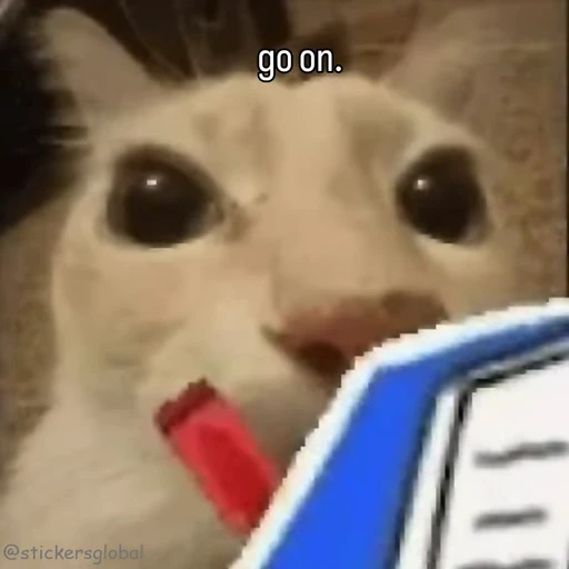 ✍️ Стикер «Kanji Cats» для Telegram