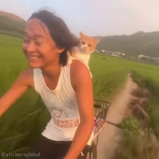 🏃 Стикер «Kanji Cats» для Telegram