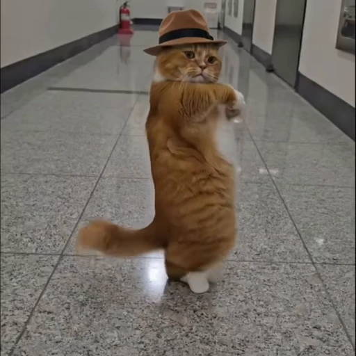 💃 Стикер «Kanji Cats» для Telegram