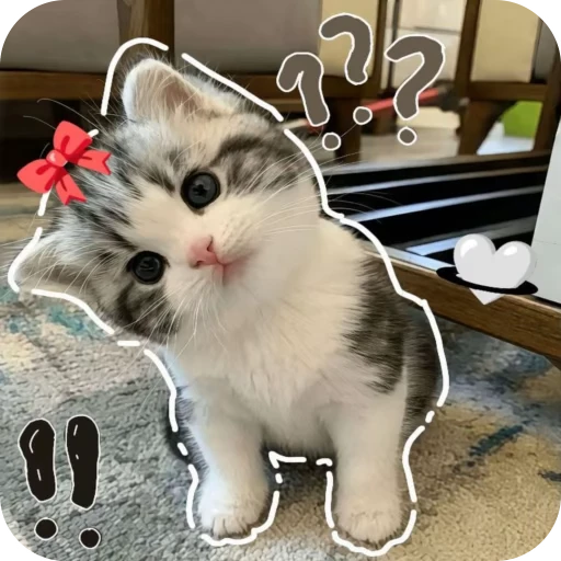 Стикерпак Pookie для Telegram