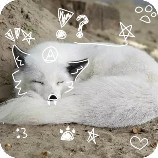 🎀 Стикер «Pookie» для Telegram