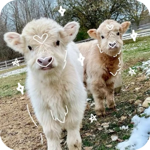 🎀 Стикер «Pookie» для Telegram