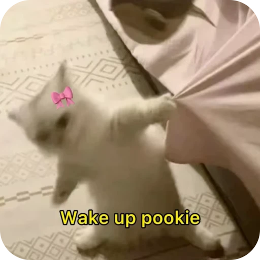 🎀 Стикер «Pookie» для Telegram