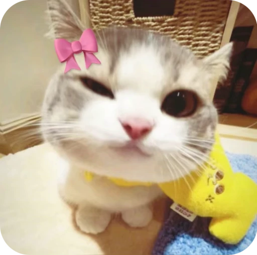 🎀 Стикер «Pookie» для Telegram