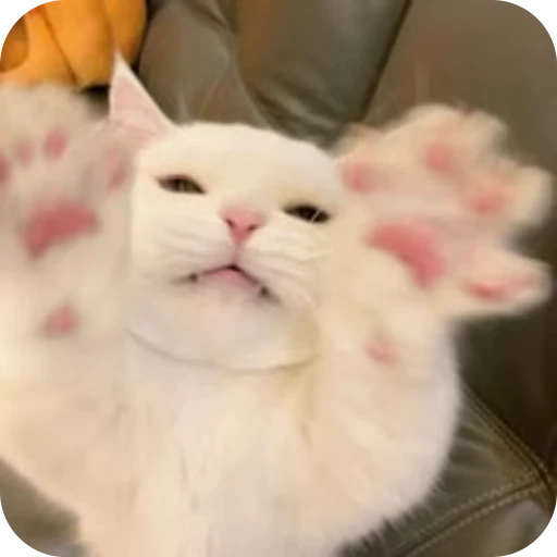🎀 Стикер «Pookie» для Telegram