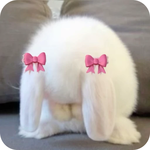 🎀 Стикер «Pookie» для Telegram