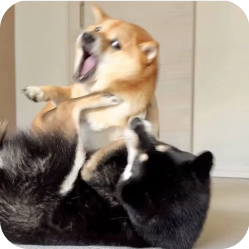 🎀 Стикер «Pookie» для Telegram