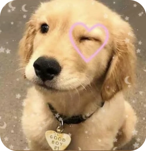 🎀 Стикер «Pookie» для Telegram
