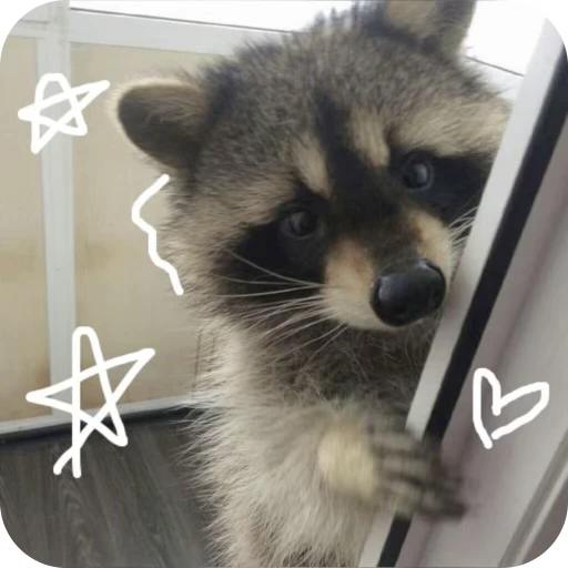 🎀 Стикер «Pookie» для Telegram