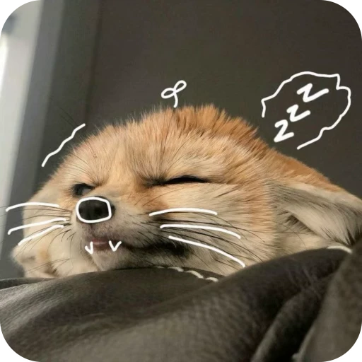 🎀 Стикер «Pookie» для Telegram