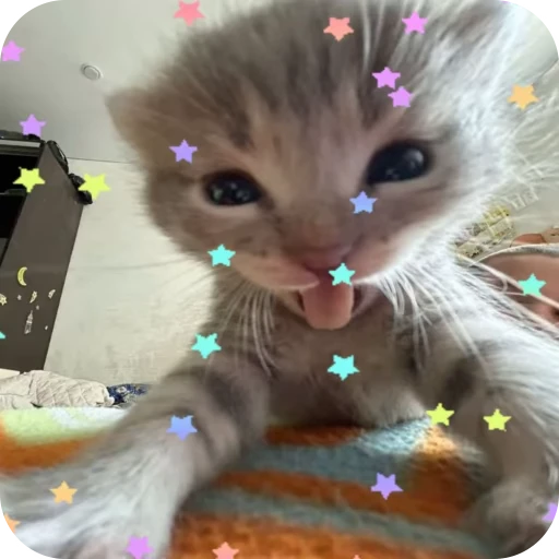 🎀 Стикер «Pookie» для Telegram