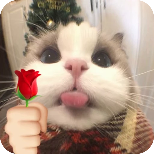 🎀 Стикер «Pookie» для Telegram