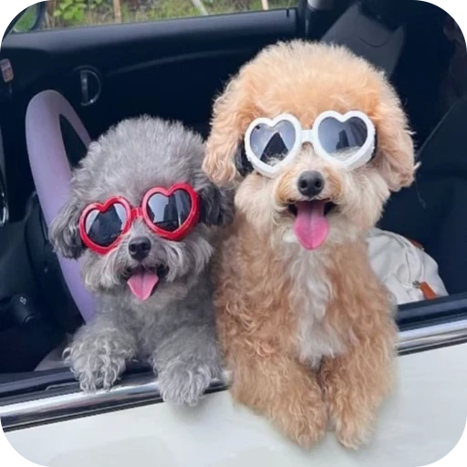 🎀 Стикер «Pookie» для Telegram