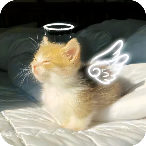 🎀 Стикер «Pookie» для Telegram