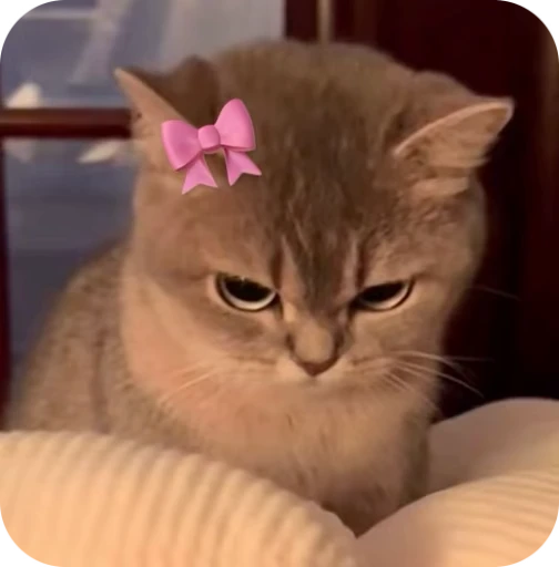🎀 Стикер «Pookie» для Telegram