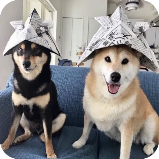 🎀 Стикер «Pookie» для Telegram