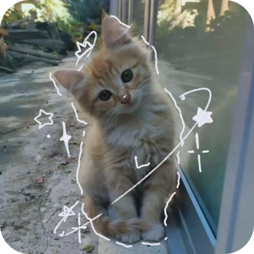 🎀 Стикер «Pookie» для Telegram