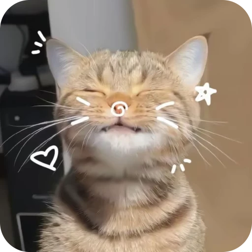 🎀 Стикер «Pookie» для Telegram